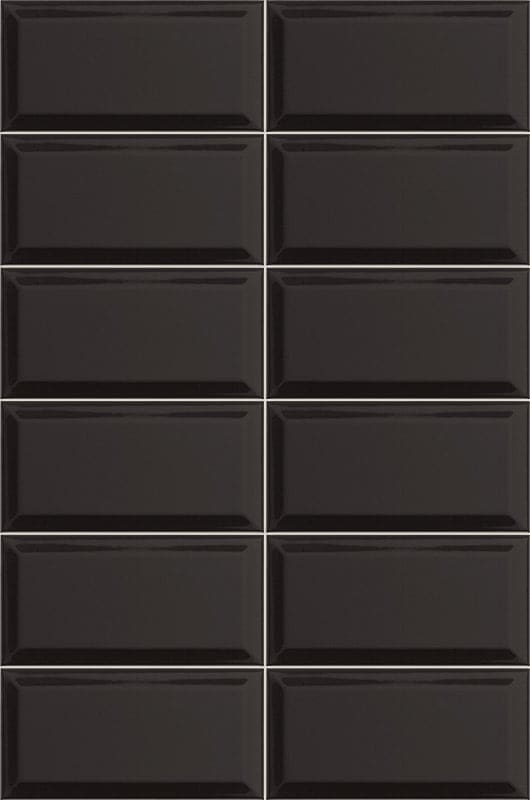 BISSEL_NEGRO_10x20_1